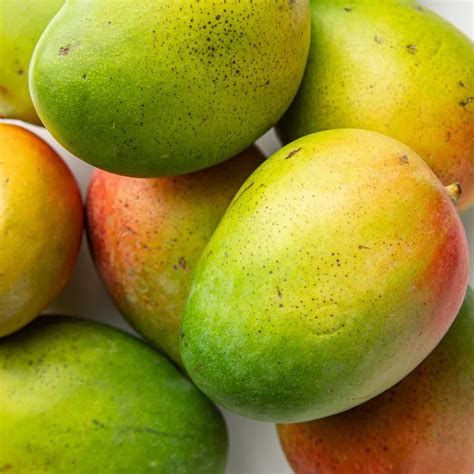 Which of the following is a benefit of a college education, and how does it compare to the taste of a perfectly ripe mango?