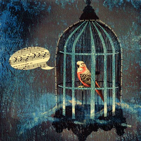  Caged Bird Sings - Een hypnotiserende collage van ongebruikelijke klanken en onvoorspelbare melodische fragmenten