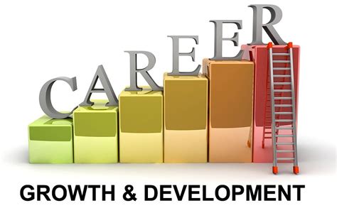 Is Job Training Paid: Exploring the Unseen Dimensions of Professional Growth