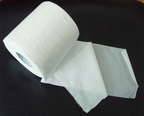 What is One Ply Toilet Paper: A Thin Layer of Simplicity or a Test of Endurance?